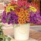 10-Piece Artificial Fall Flower Set – UV-Resistant Faux Mums & Eucalyptus for Porch, Patio, Garden, Planters, and Autumn Outdoor Home Decor